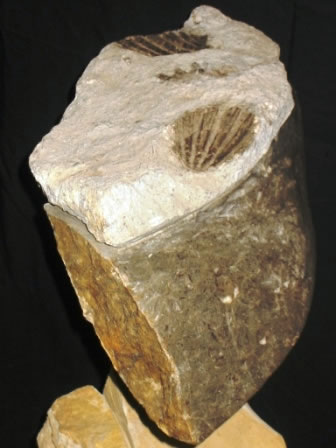 Escultura de fósiles y molejón